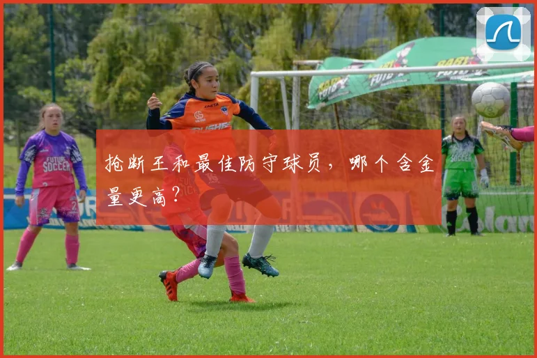 抢断王和最佳防守球员，哪个含金量更高？