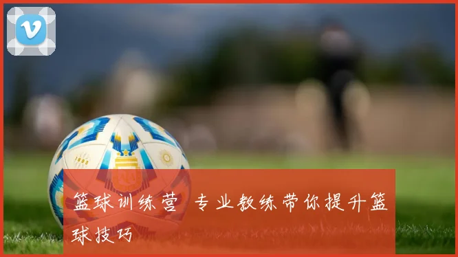 篮球训练营 专业教练带你提升篮球技巧