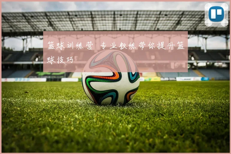 篮球训练营 专业教练带你提升篮球技巧